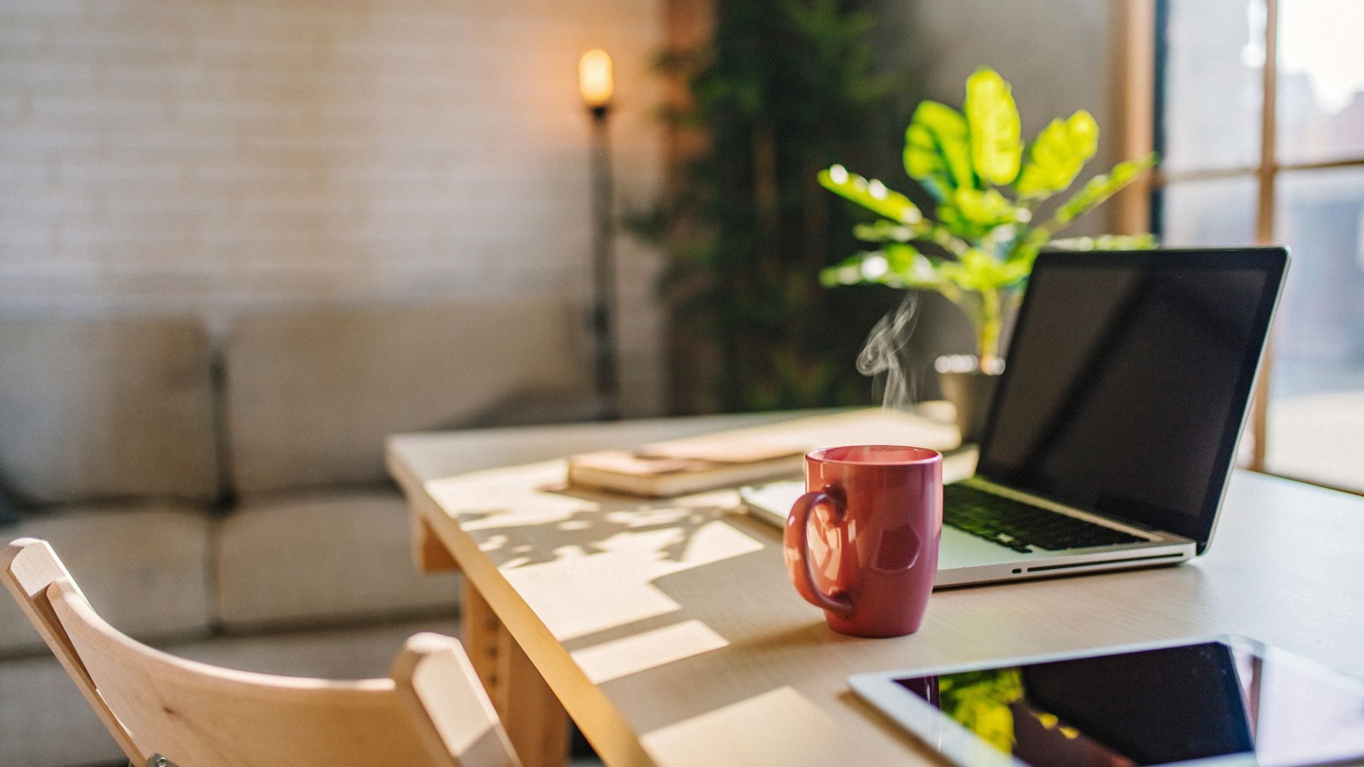 Organised receipts and invoices for tax-deductible company costs