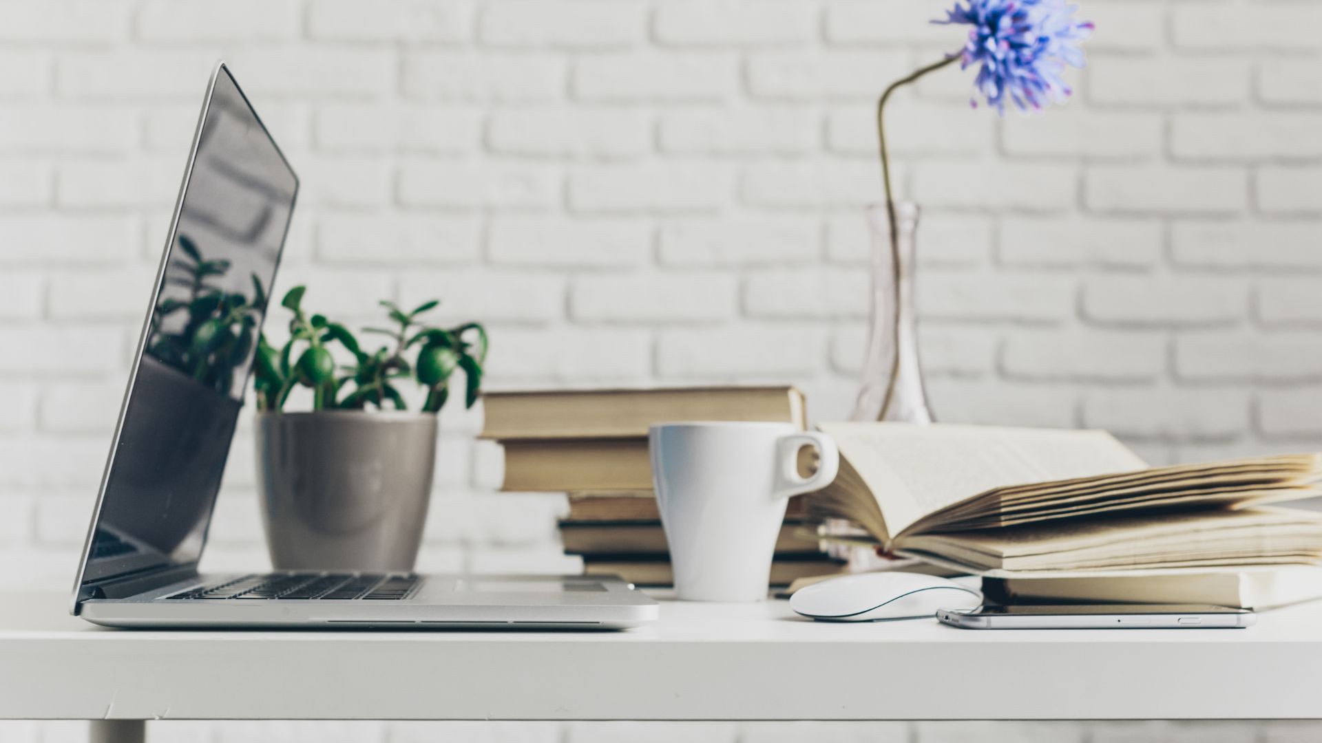 Tax advisor reviewing a contractor’s payroll and VAT returns