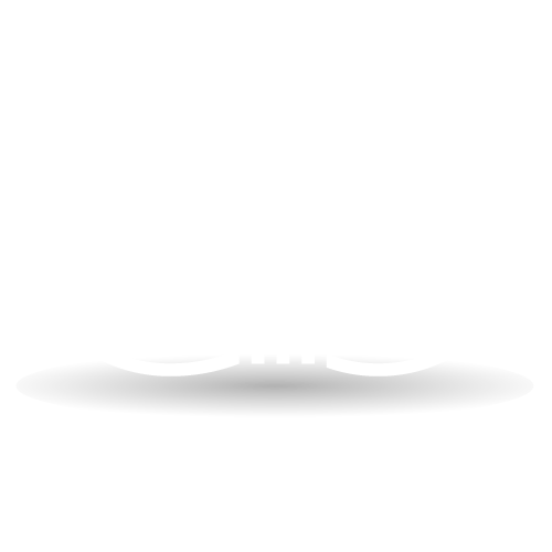 go limited logo