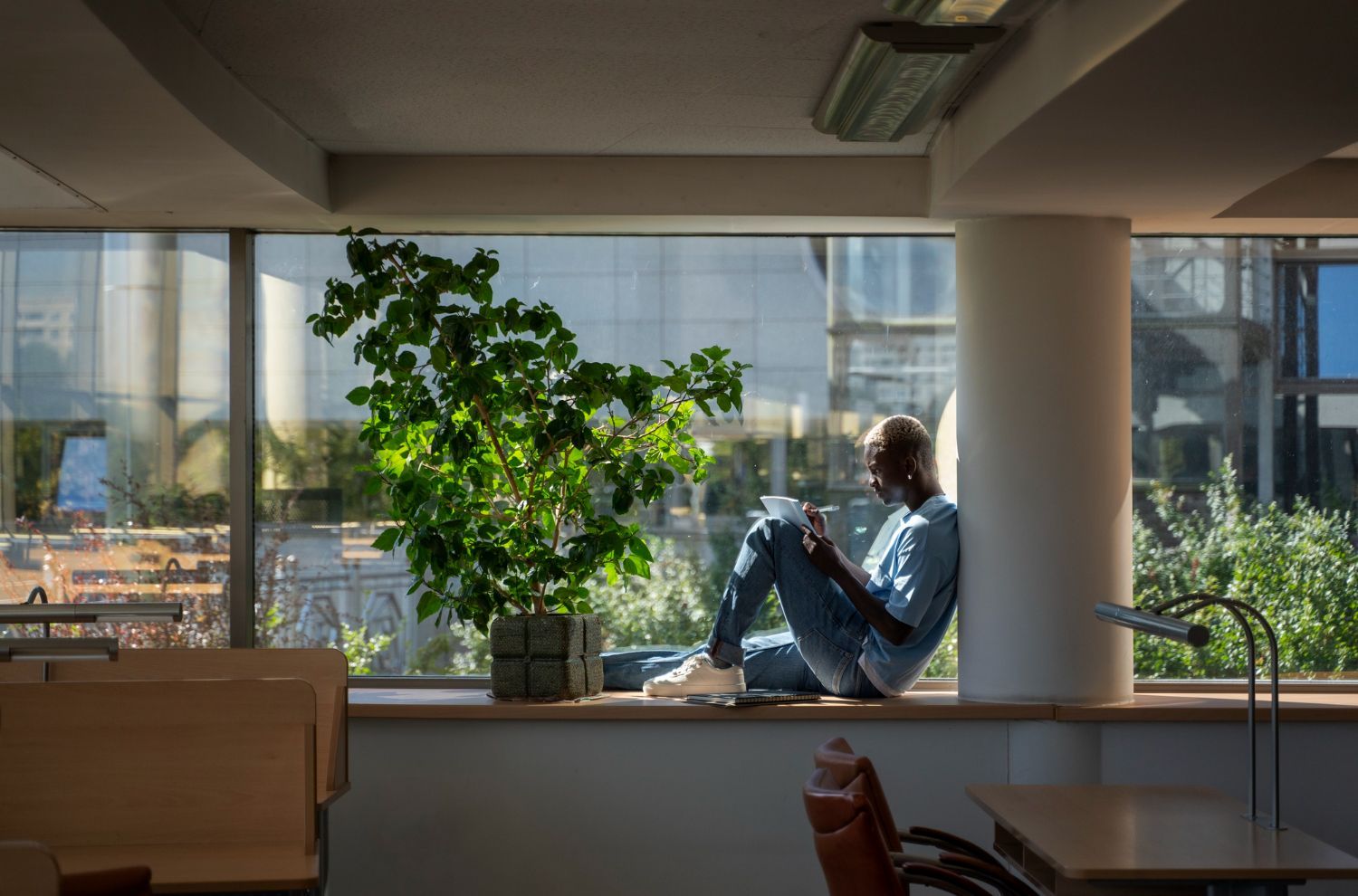 Person sitting on a windowsill in a bright office beside a potted tree, looking outside.
