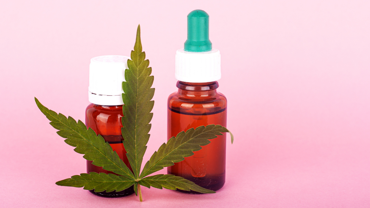 CBD oil dropper bottles behind a cannabis leaf on a pink background