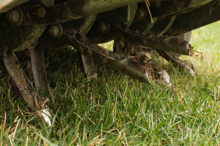 Lawn aerator with hollow tines extracting soil cores from a green grassy lawn.
