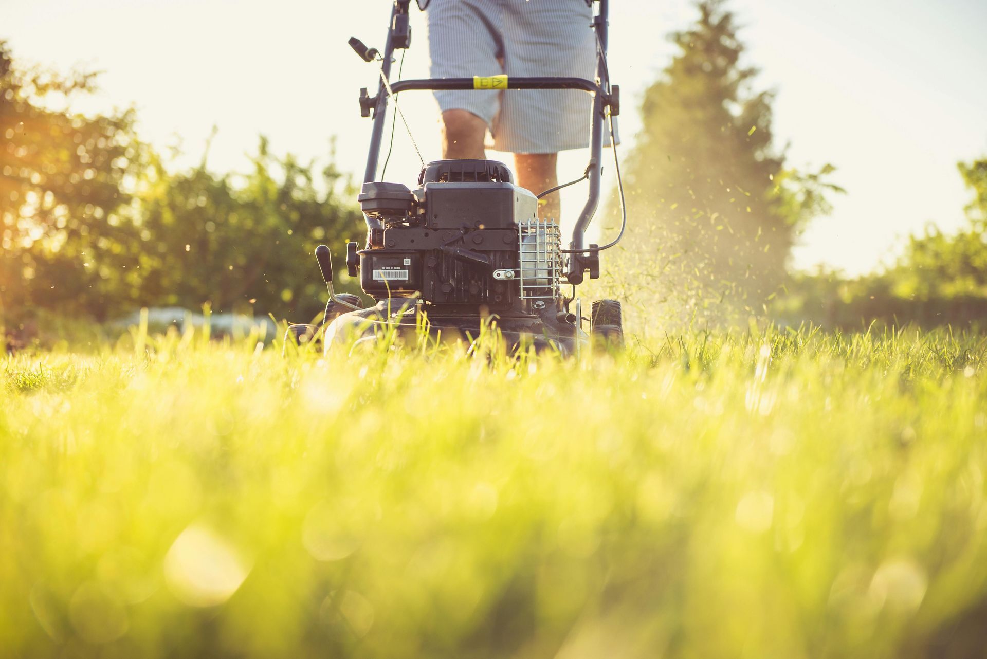 Person mowing a lawn with a lawnmower on a sunny day.
