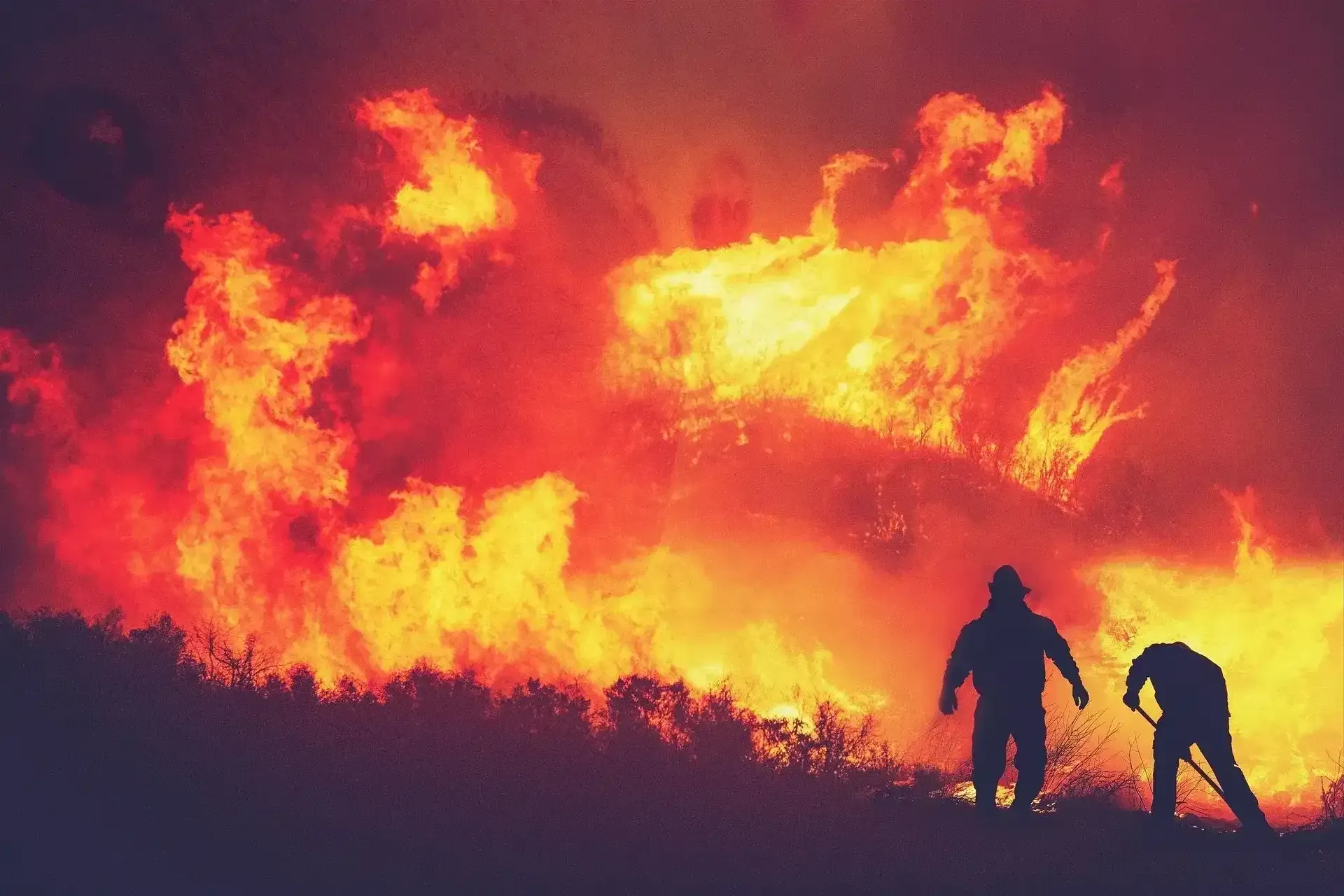trigger-point-wildfire-point-home-protection-about-us-faq-image