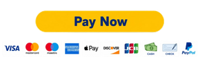 Yellow “Buy Now” button above payment method logos including Visa, Mastercard, Apple Pay, Discover, and others.