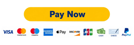 Yellow “Buy Now” button above payment method logos including Visa, Mastercard, Apple Pay, Discover, and others.