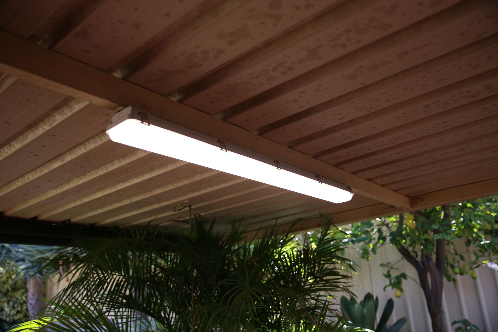 Covered patio ceiling with a lit fluorescent light and palm trees below