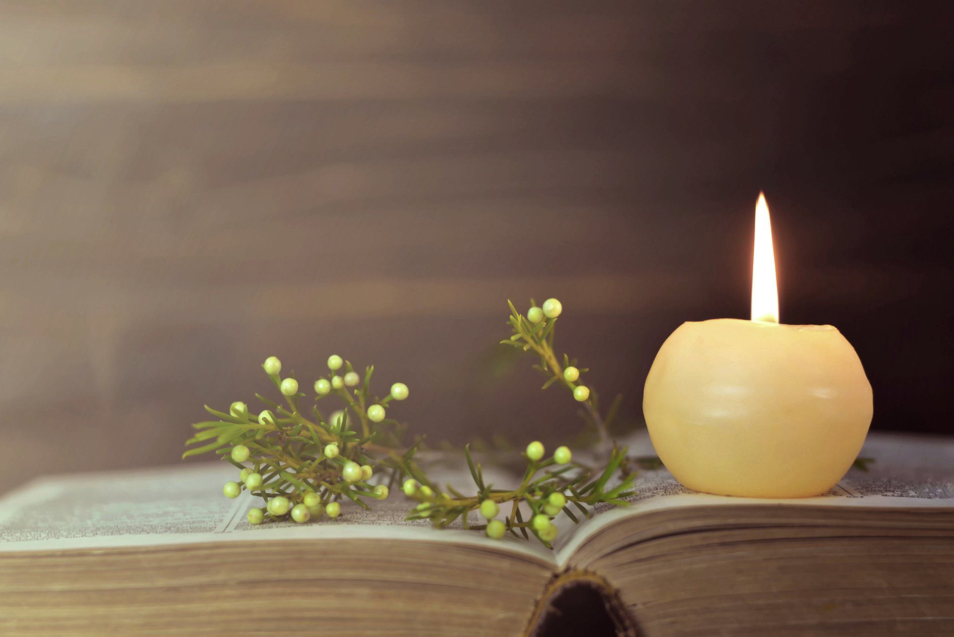 Libro aperto con una candela accesa e rametti verdi sopra, in una luce calda e soffusa