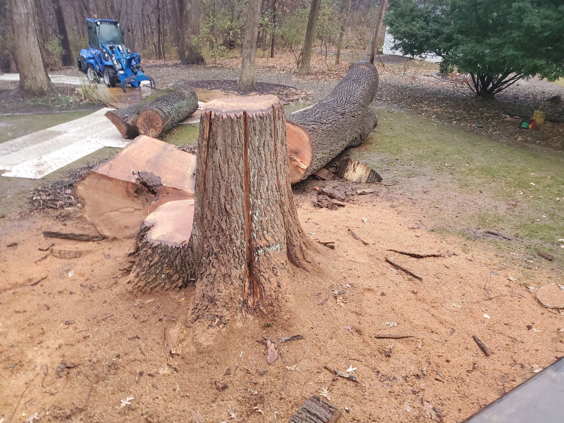 A tree stump is sitting on top of a pile of logs in a yard.