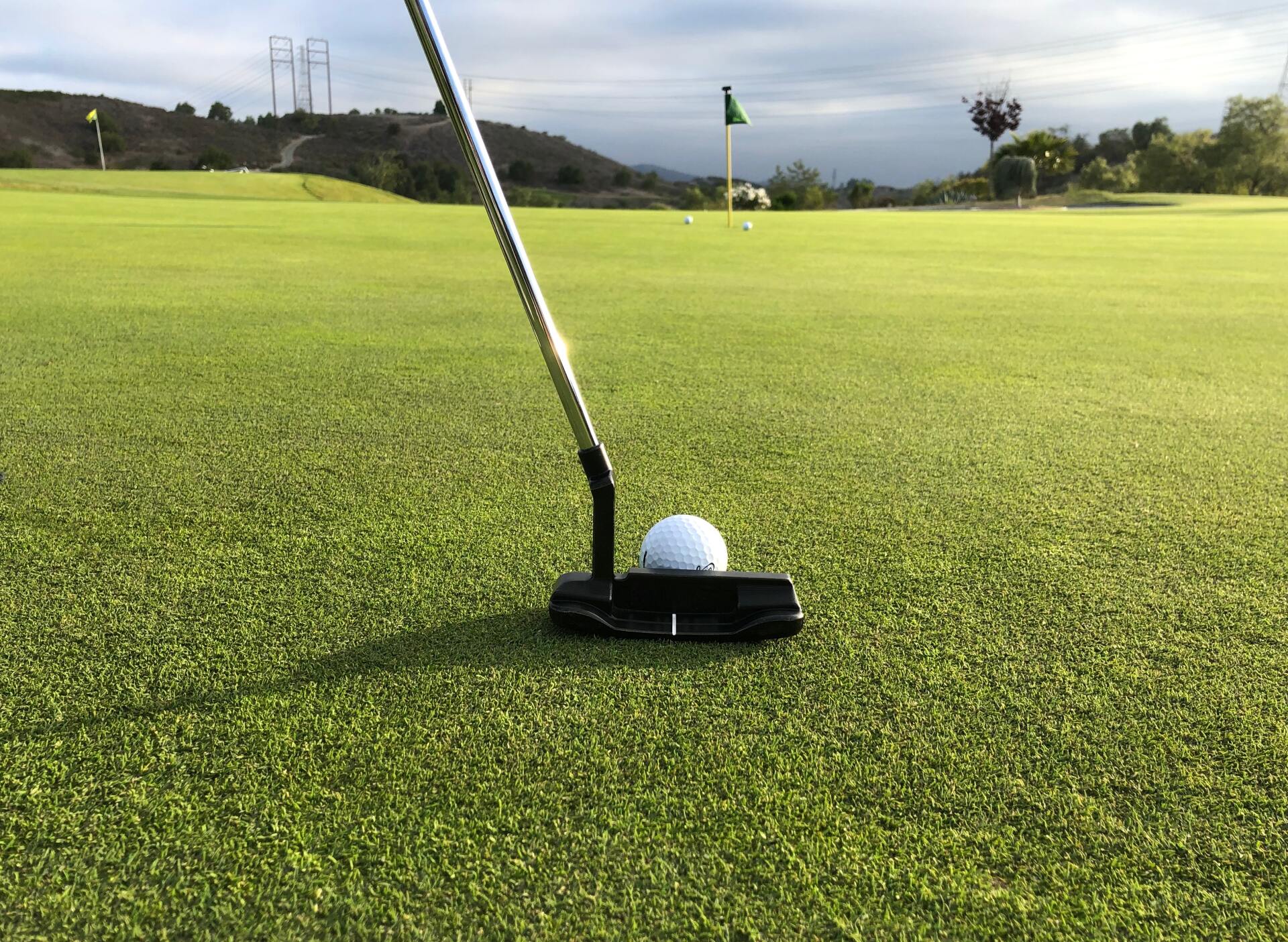 putting green turf