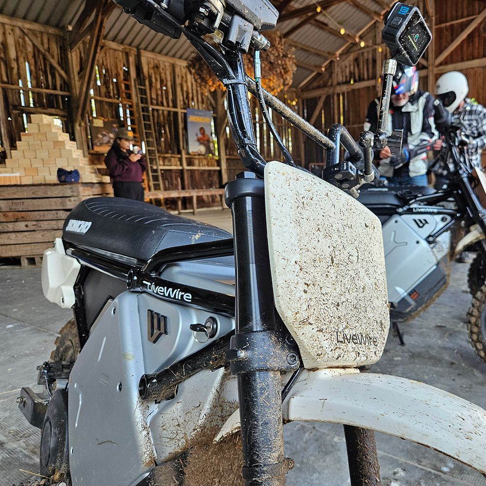 FoxE HMW Mobility