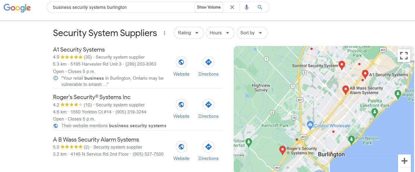 A screenshot of a google search for security system suppliers.