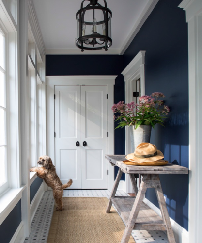 A dog standing next to a window in a hallway