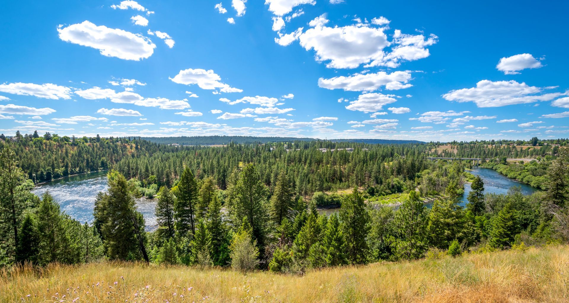 A scenic, elevated view of a winding river flowing through a lush green pine forest under a bright blue sky with clouds.