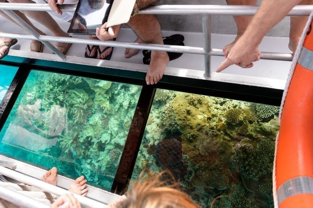 Glass-bottom boat over coral and reef fish in the Trou aux Biches lagoon, Mauritius