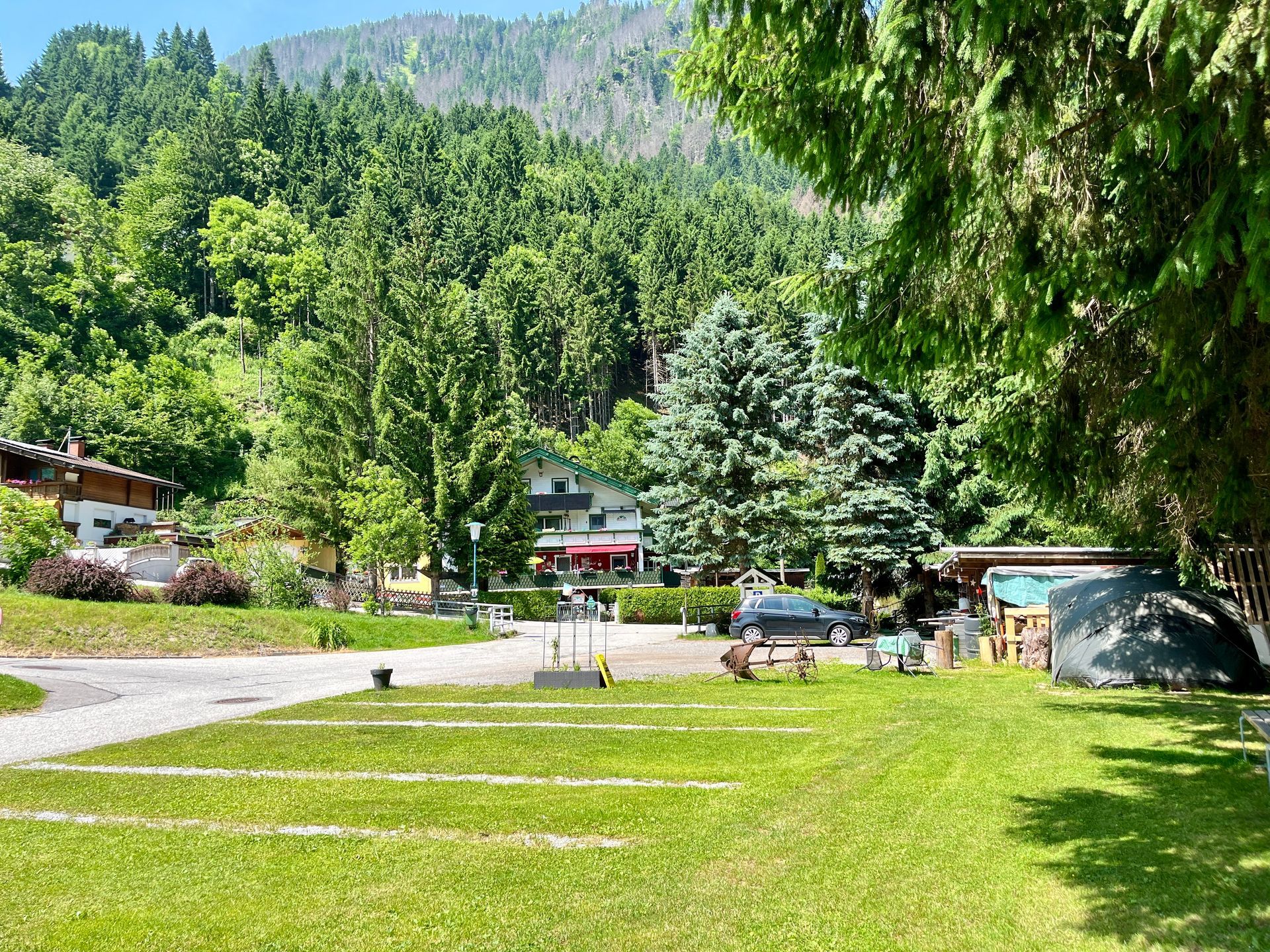 Grüne Wiese mit Campingplätzen, umgeben von Bäumen und Bergen.
