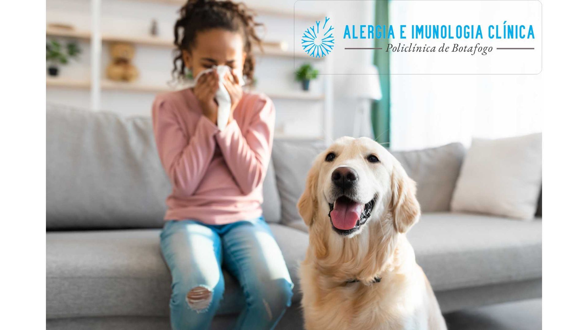 Alergia a pelo de cachorro