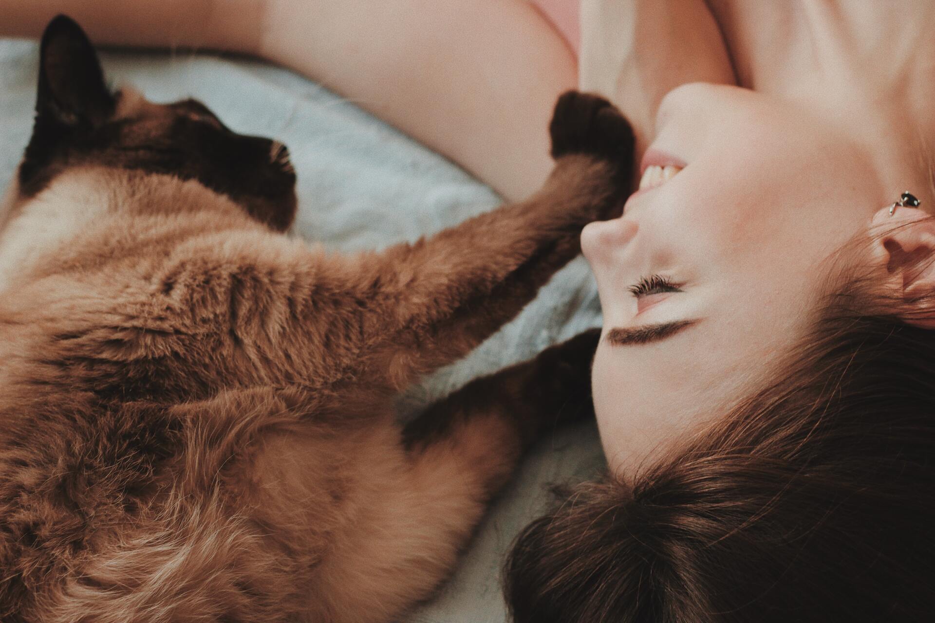 Alergia a gato todos tem? Porque só algumas pessoas têm alergia a gato?