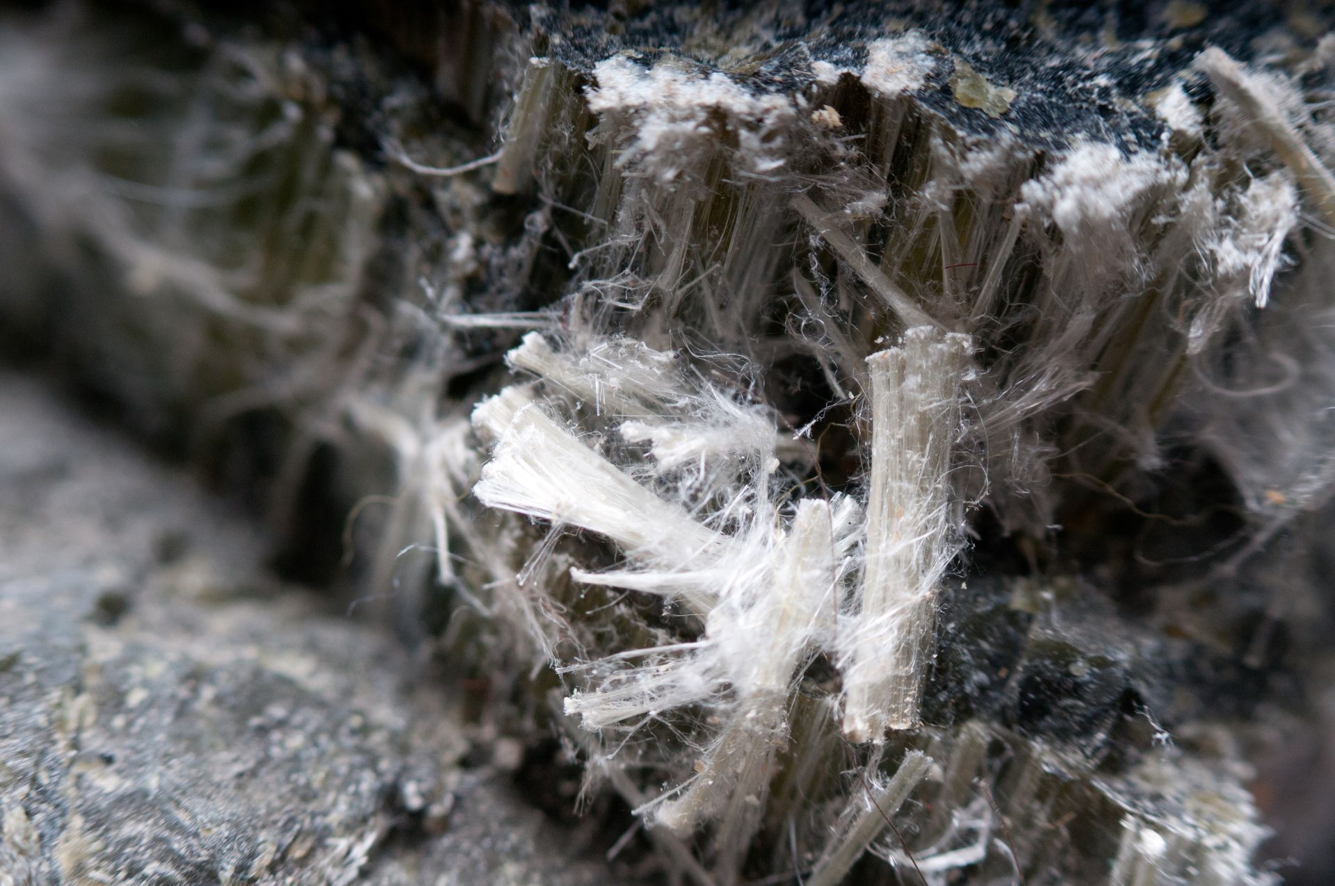 Close-up of white, fibrous asbestos embedded in a dark gray matrix.