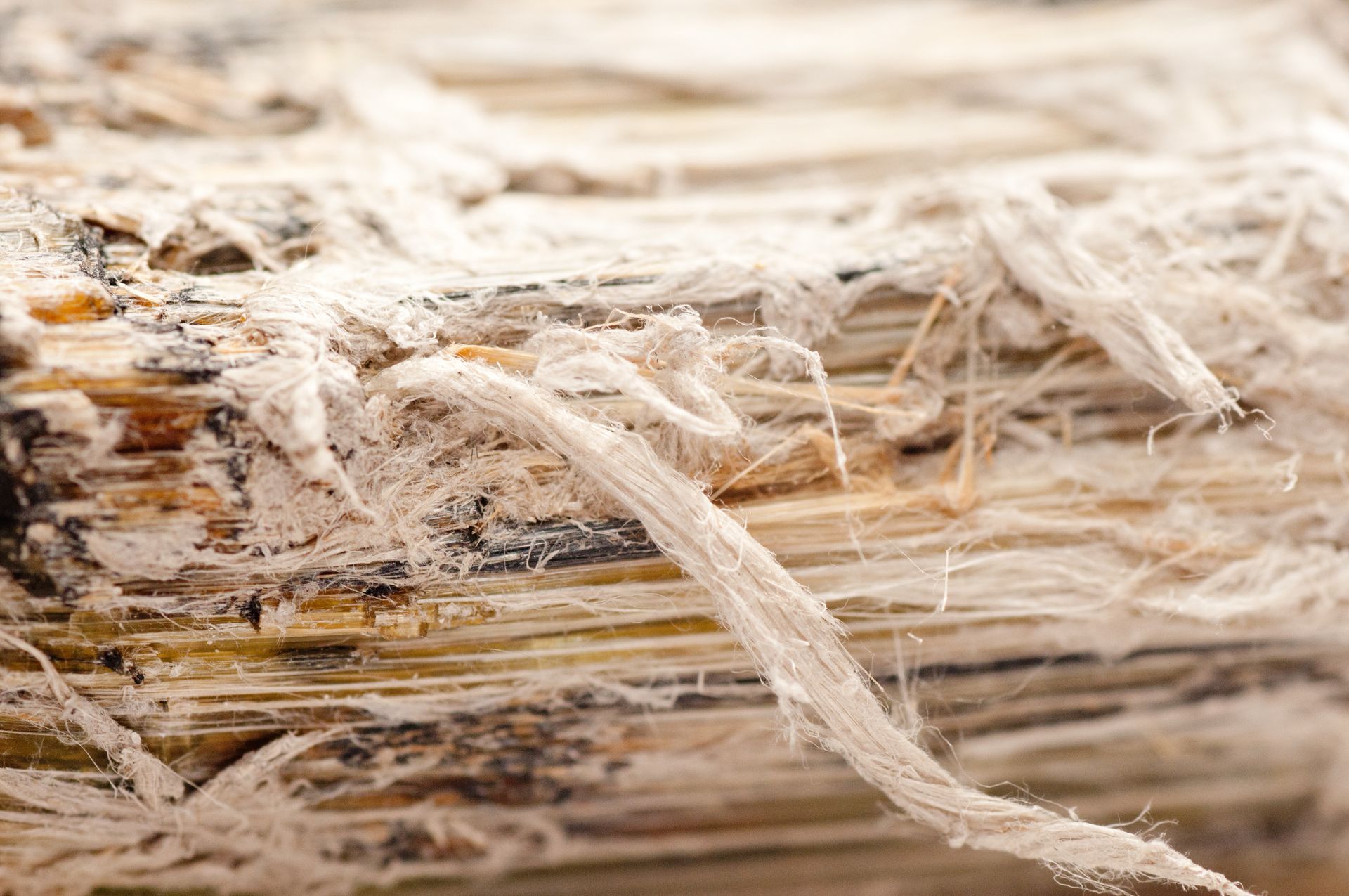 Close-up of a frayed wooden surface with splintered fibers and peeling white strands
