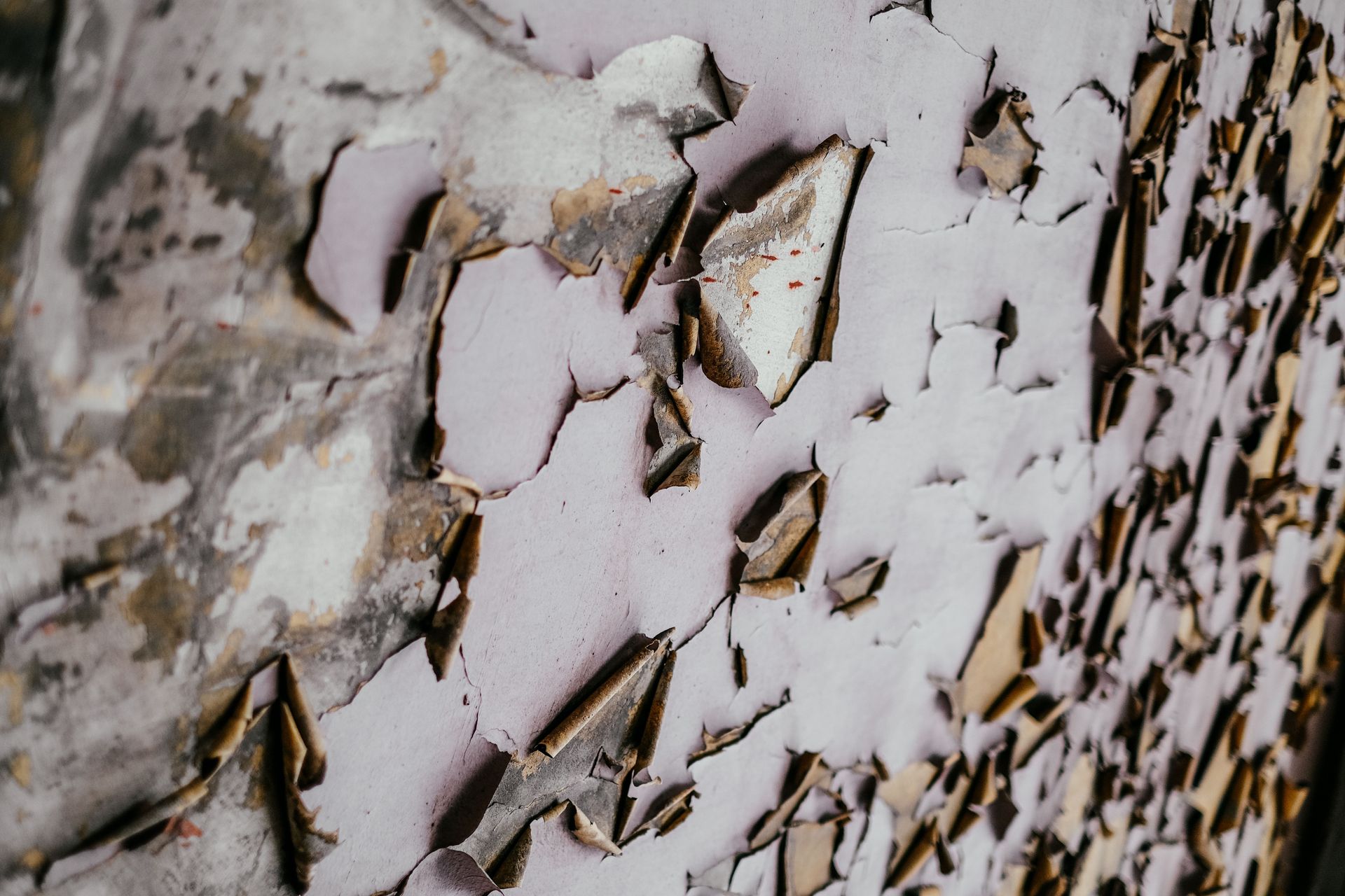 Close-up of peeling white lead paint on a rough wall with brown chips and texture