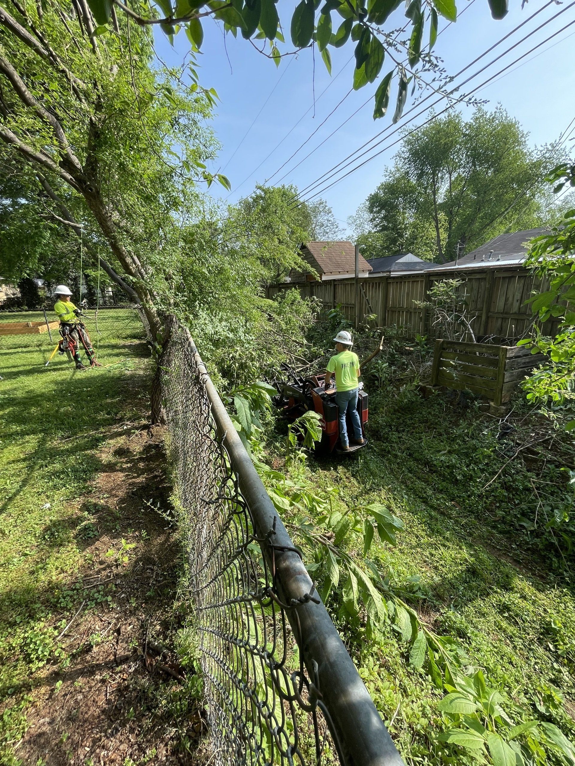 Person in a neon helmet works with a wheelbarrow by a fence in a leafy backyard.