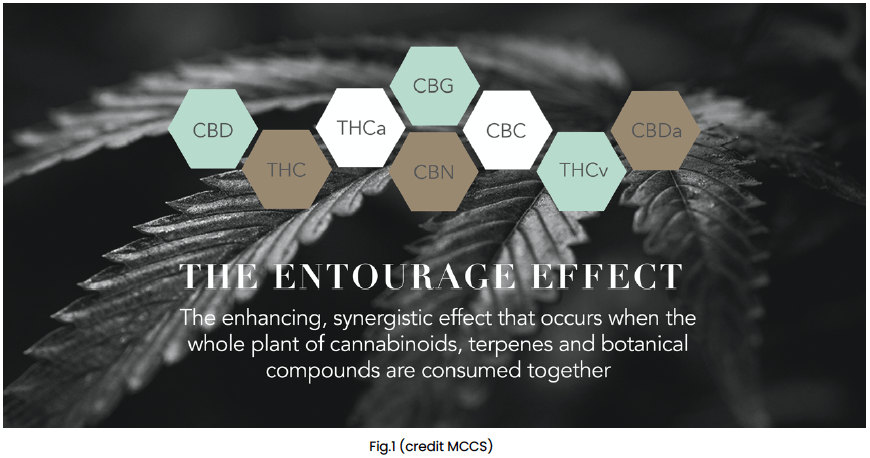 Entourage Effect