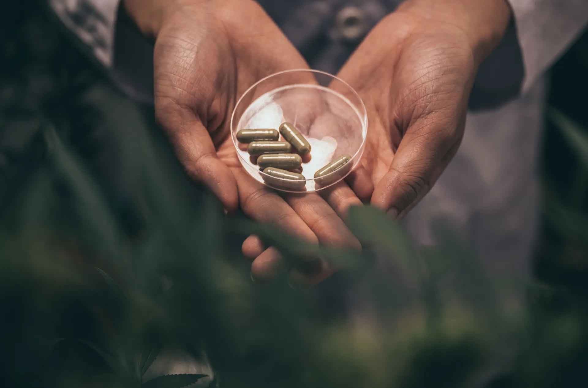 A person is holding a bowl of pills in their hands.