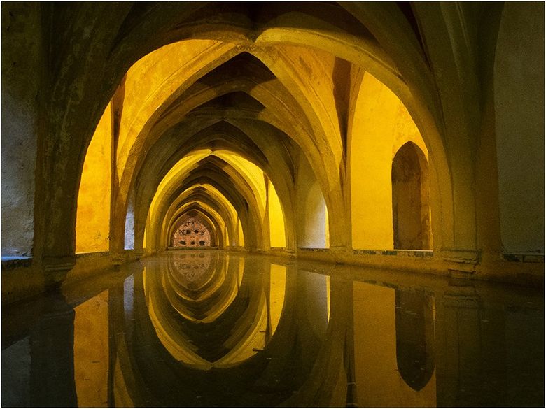 A reflection of a building in a pool of water