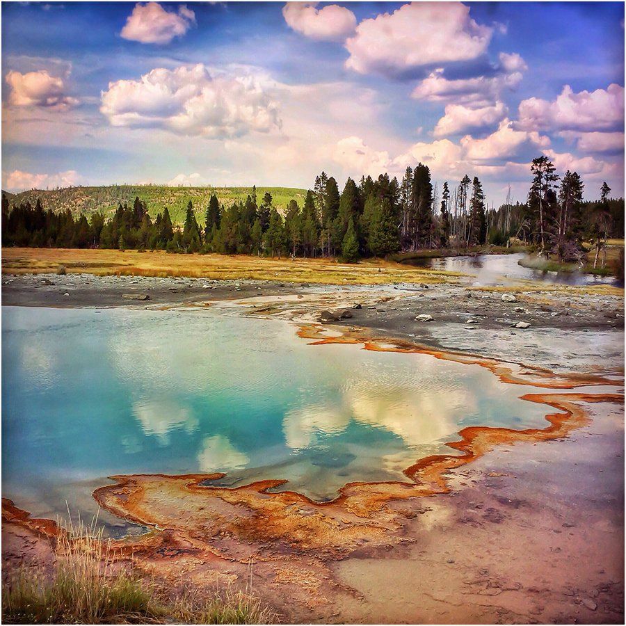 A picture of a lake with trees in the background