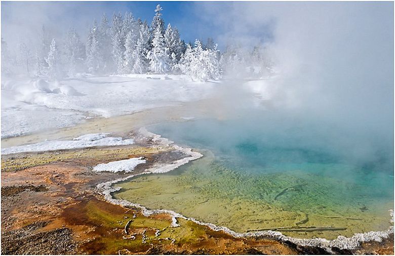 A hot spring in the middle of a snowy field with trees in the background.