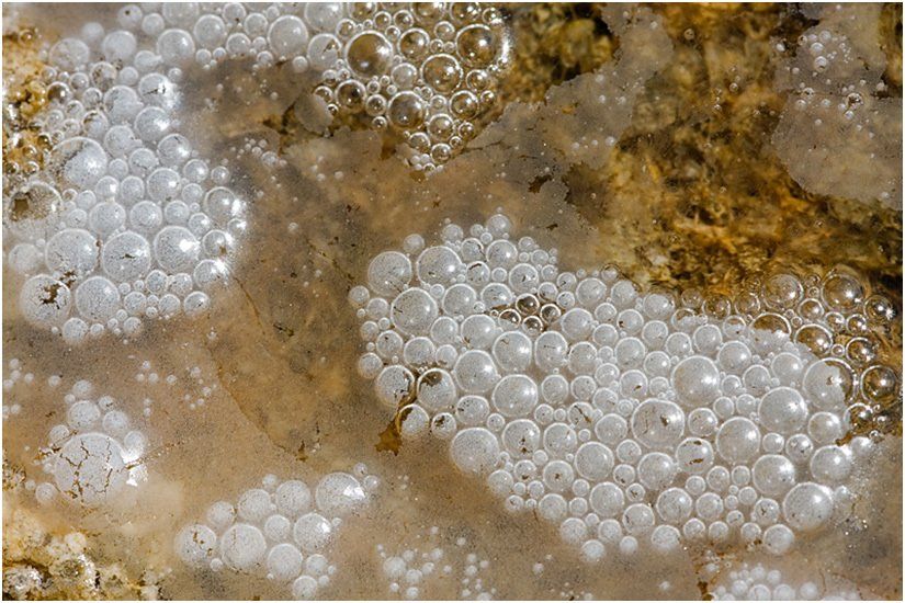 A bunch of white bubbles are floating in a brown liquid