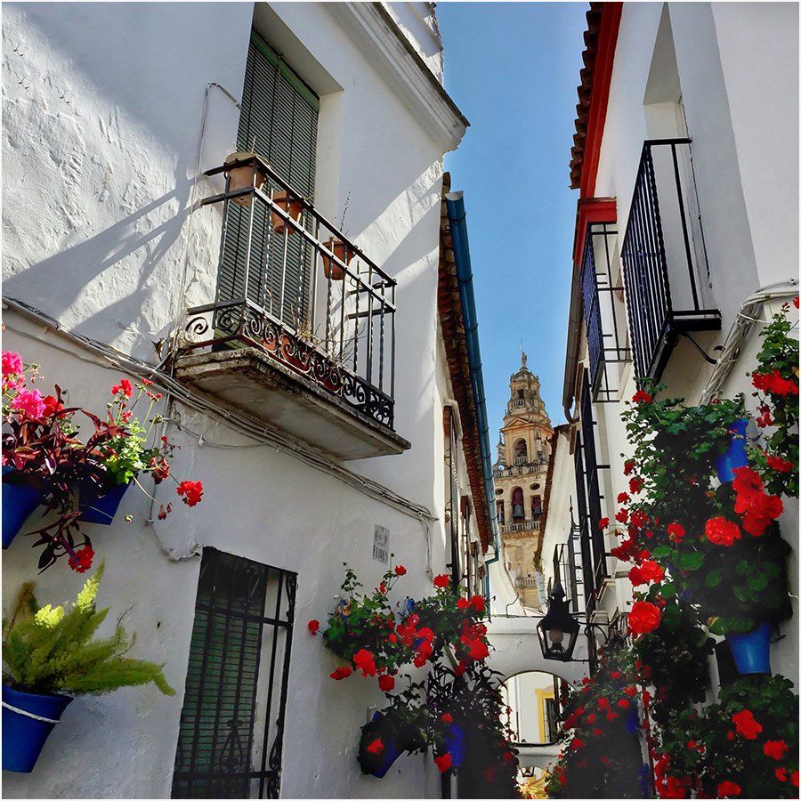 A white building with a balcony and flowers on it