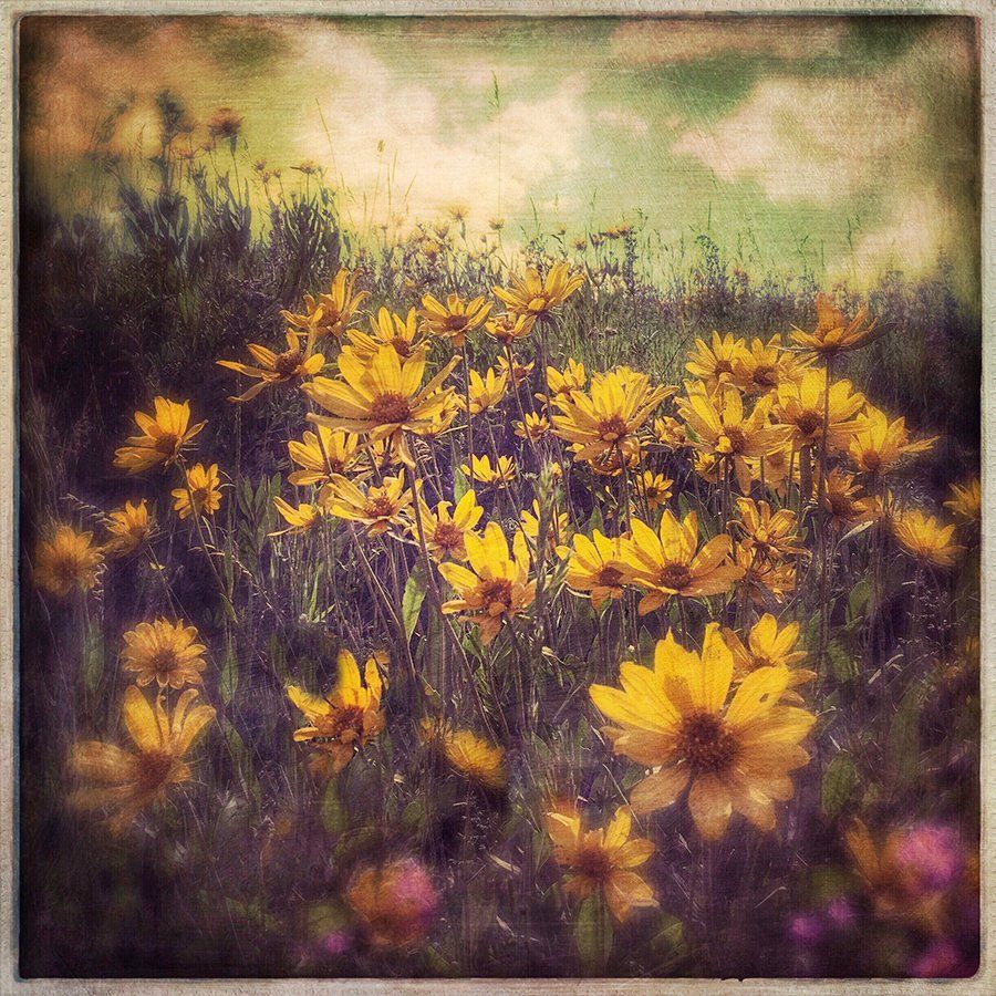 A painting of a field of yellow flowers