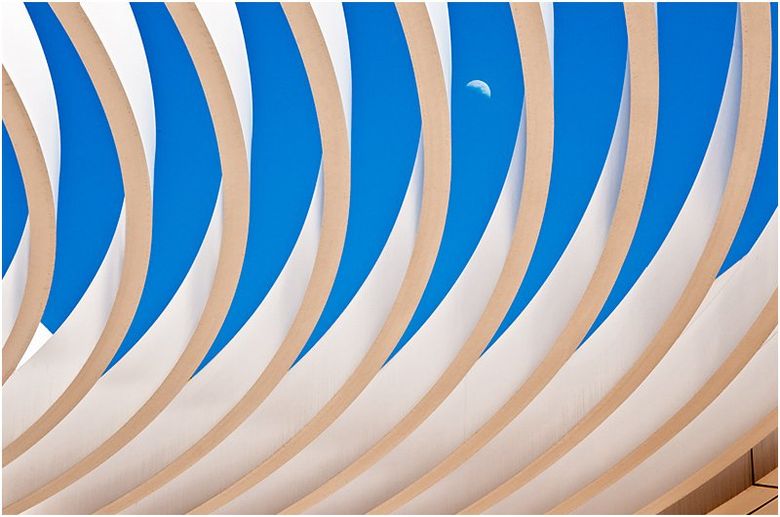A blue and white striped background with a bird in the sky