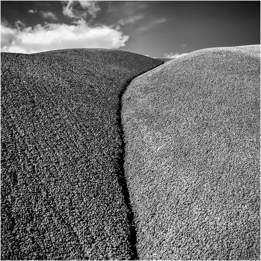 A black and white photo of a grassy hillside