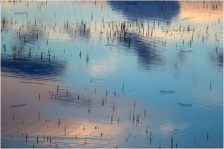 A reflection of a cloud in a body of water
