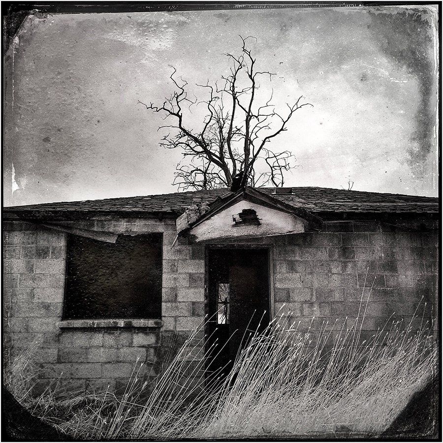 A black and white photo of a house with a tree in the background