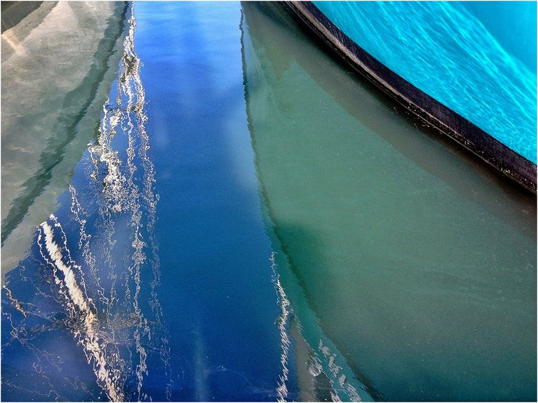 A reflection of a building in a pool of water