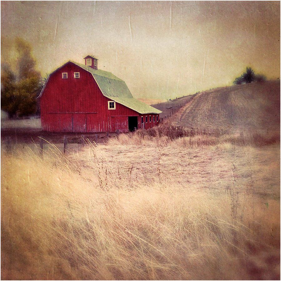 A red barn with a green roof sits in the middle of a field