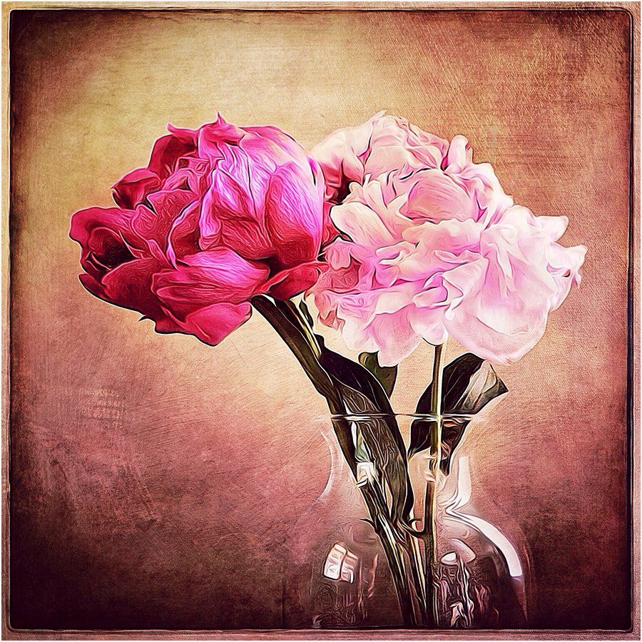 Two pink flowers in a clear glass vase