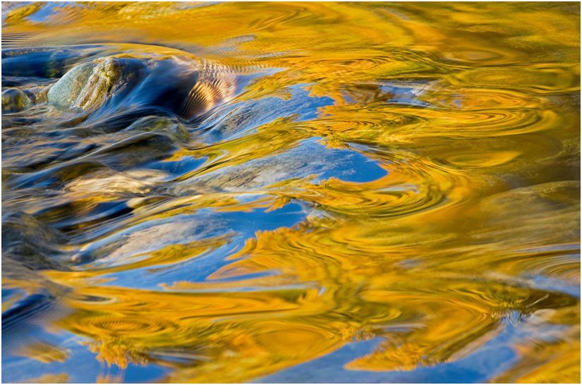 A close up of a river with a reflection of trees in the water.