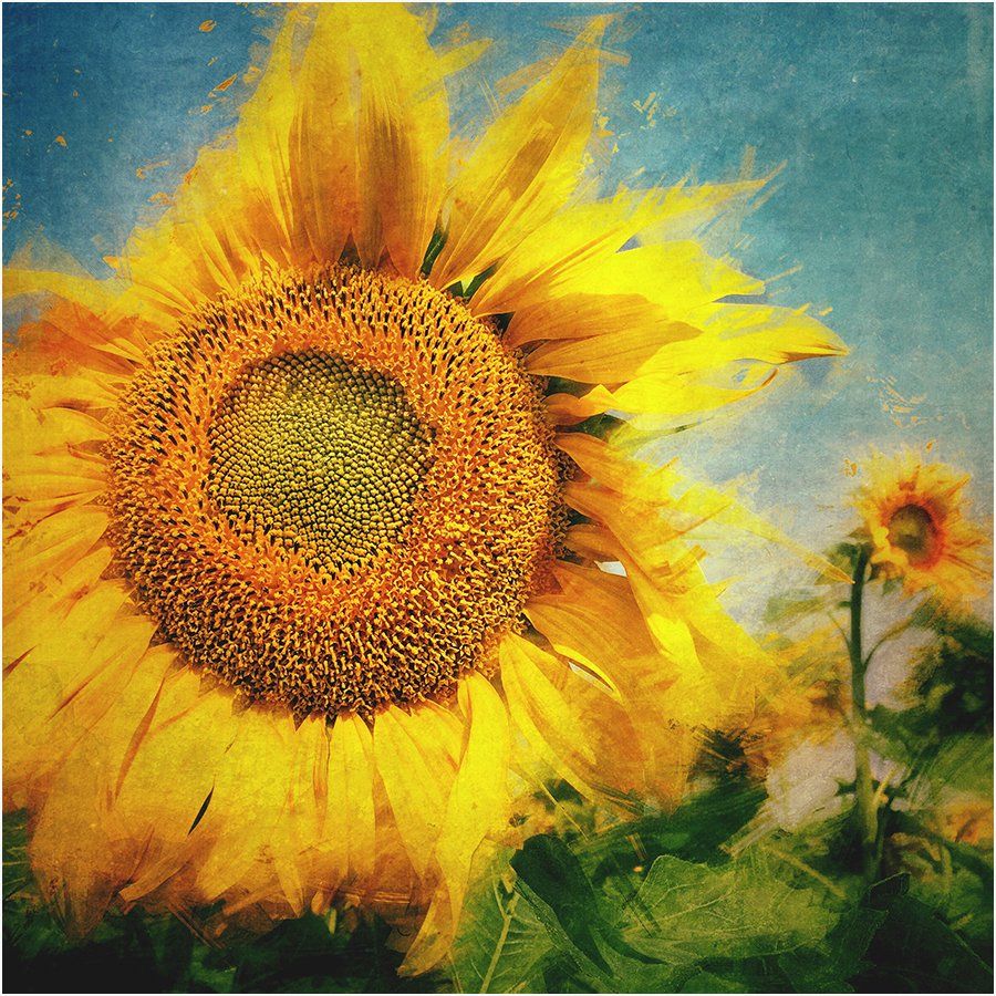 Flora-Fauna
