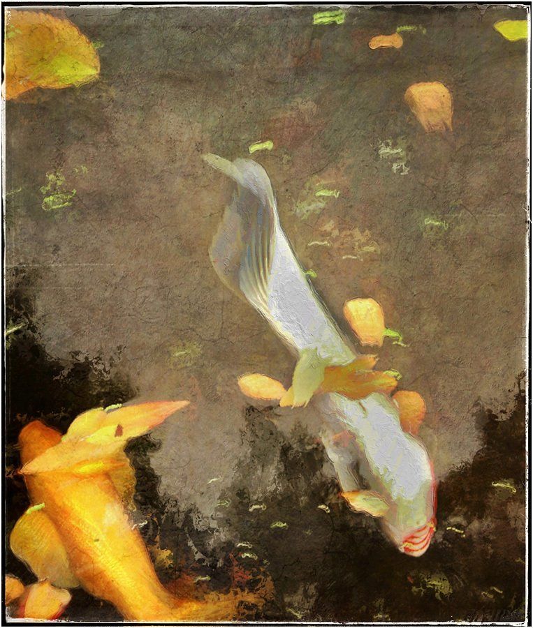 A painting of two fish swimming in a pond