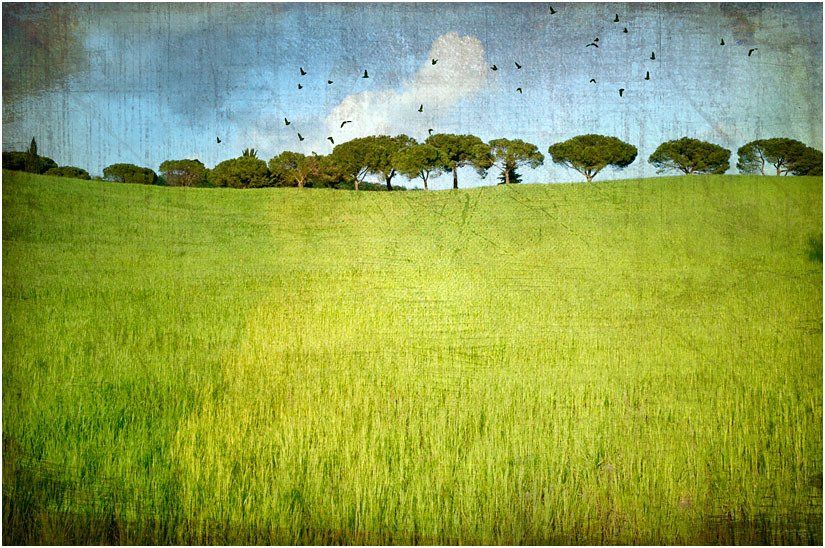 A painting of a green field with trees in the background