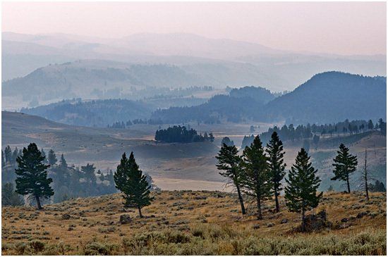 Yellowstone National Park near Tower Junction  September 16, 2012 @2:00 pm
