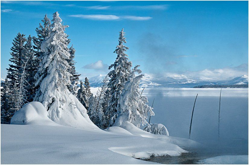 A snowy forest with trees covered in snow and a lake in the background.