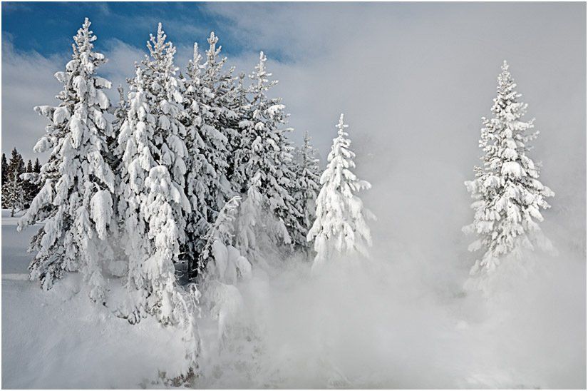 A snowy forest with trees covered in snow and smoke coming out of the trees.