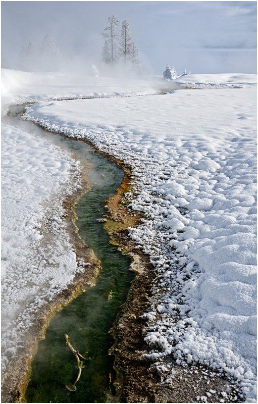 A stream running through a snowy field with trees in the background.