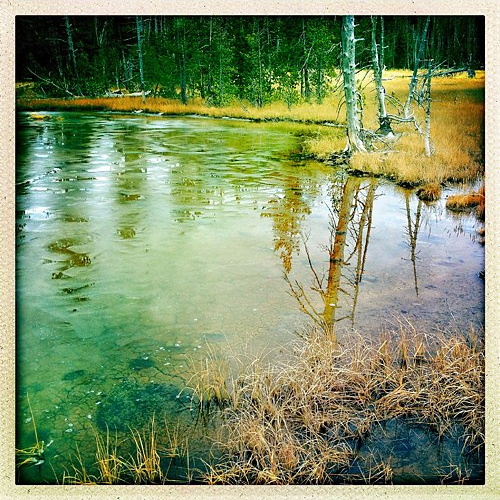 Yellowtone Ice Pond